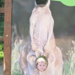 phoca_thumb_m_horeky  24 Fotogalerie